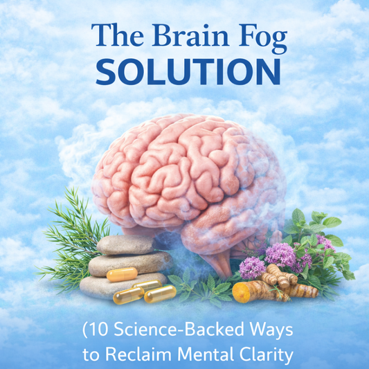 The Brain Reset Guide